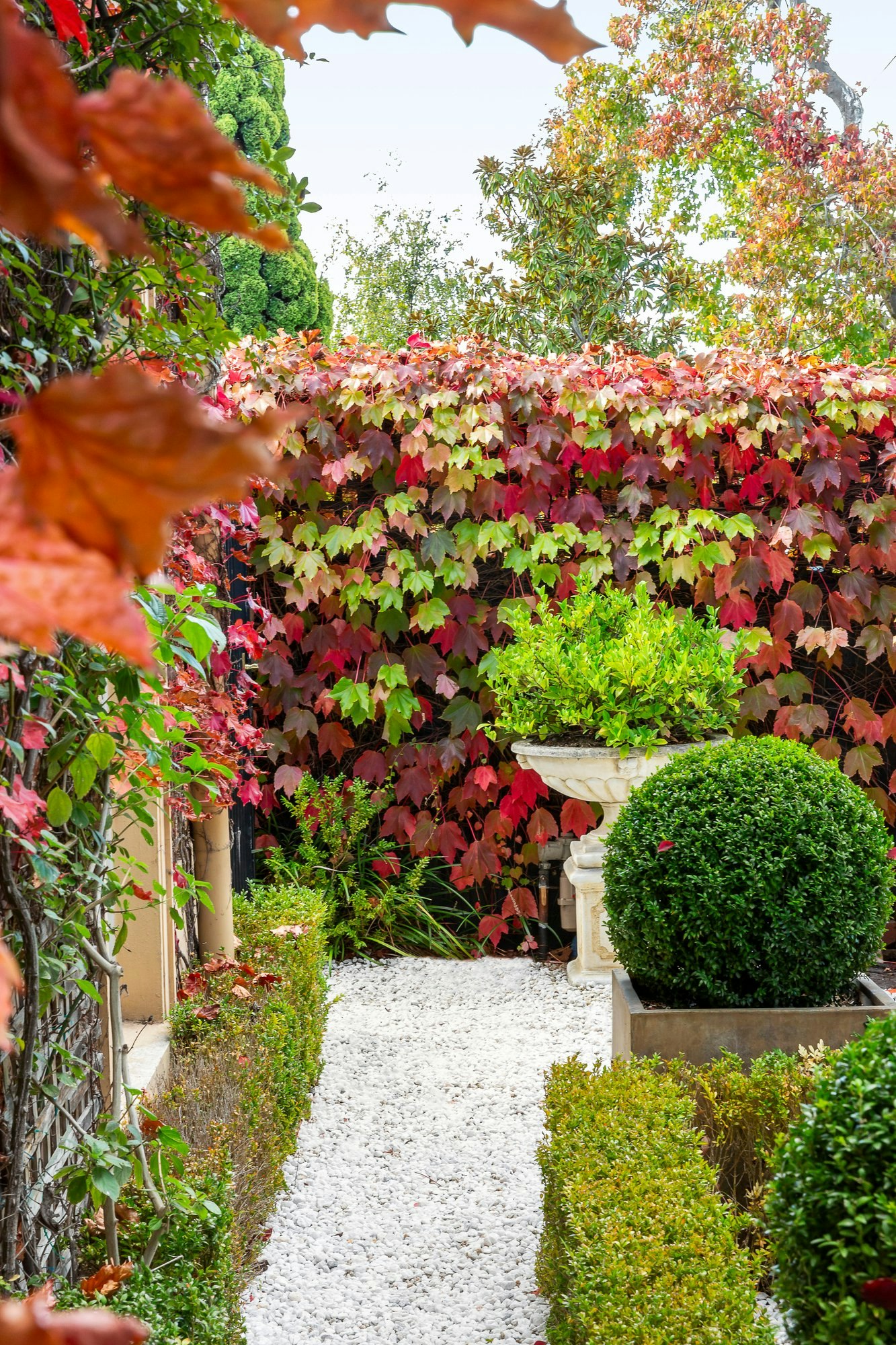 6A Thanet Street, Malvern, 3144