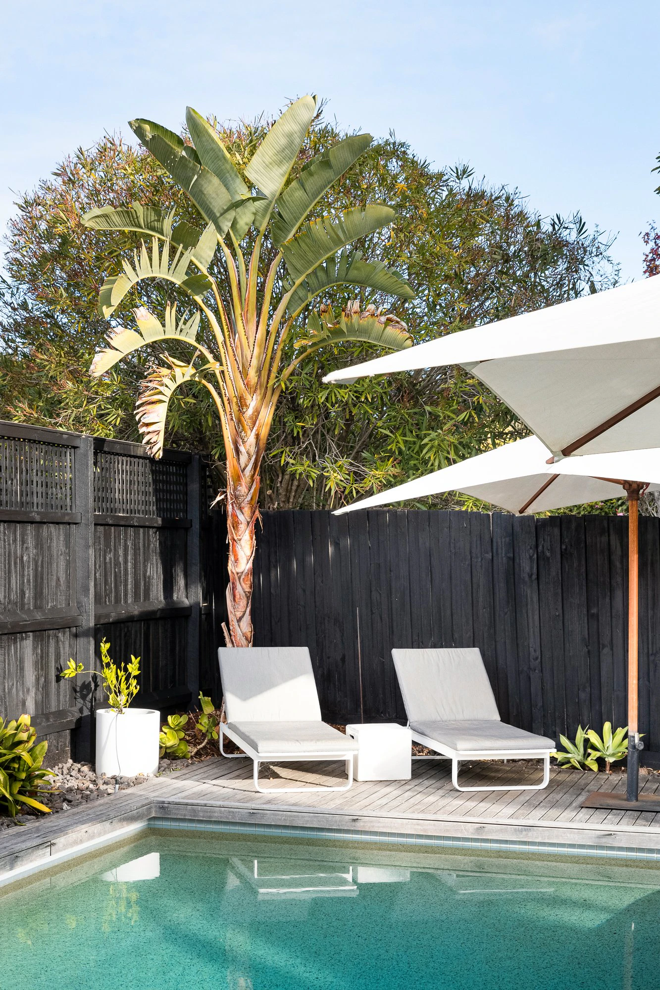 10 Garden Avenue, Brighton East, 3187