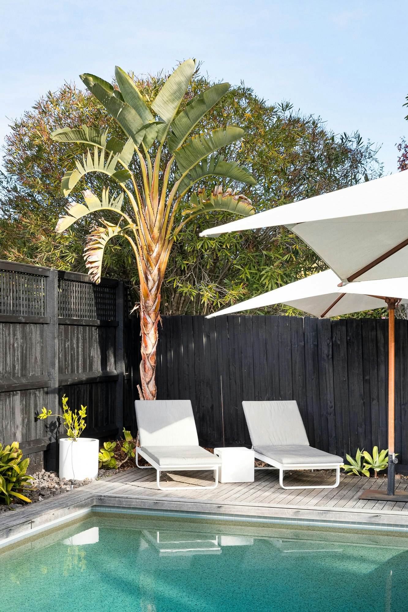 10 Garden Avenue, Brighton East, 3187