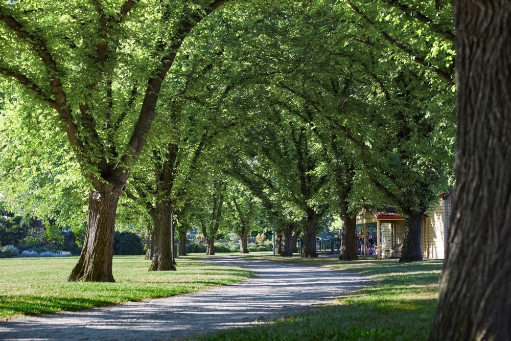 7 Baker Street, MALVERN EAST, 3145