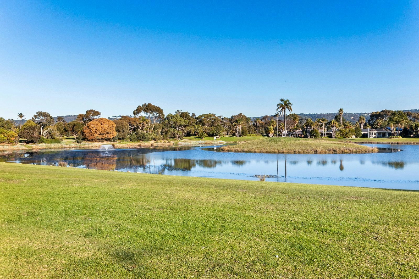 80 Palm Tree Drive, Safety Beach, 3936