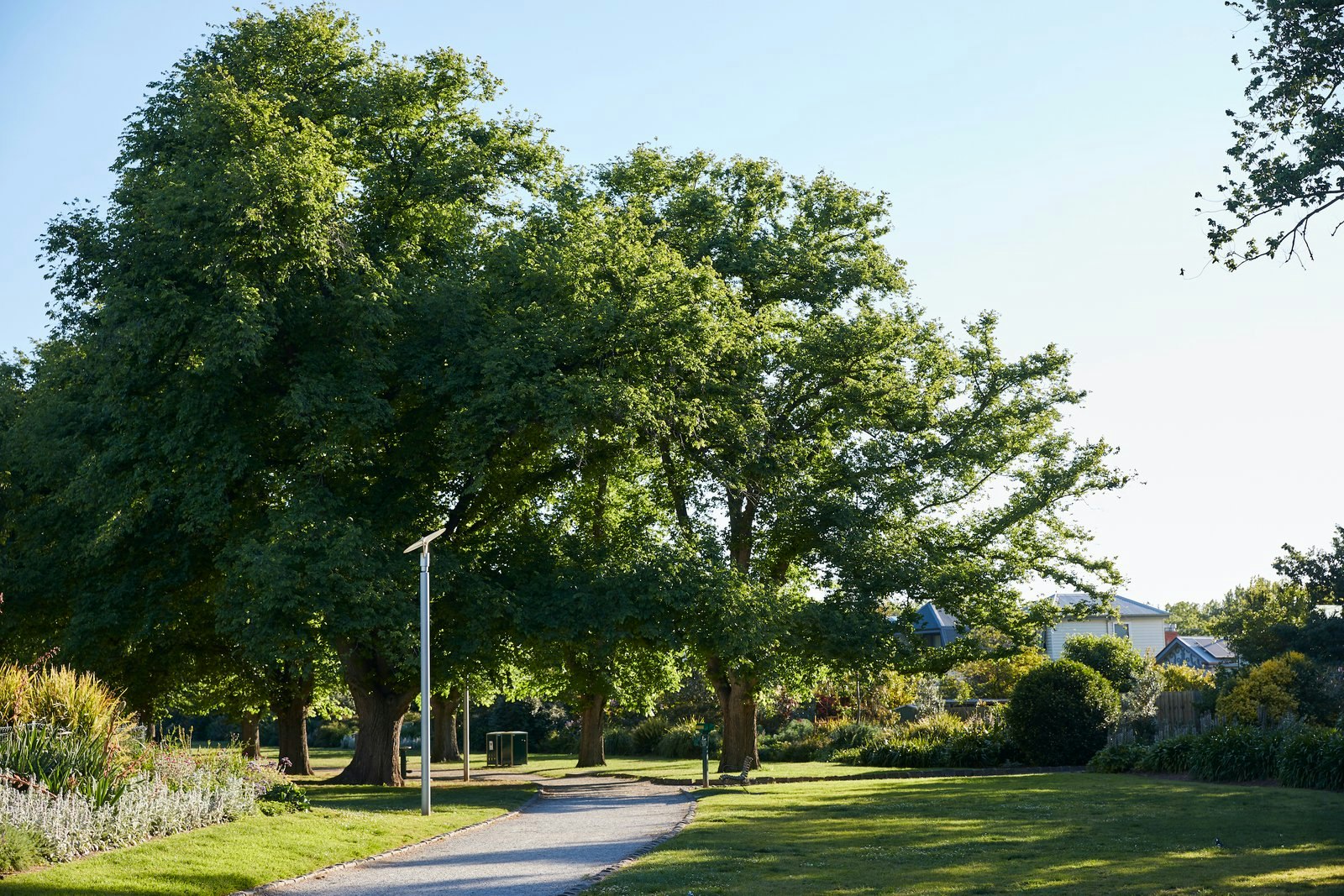 15 Olive Street, Malvern East, 3145
