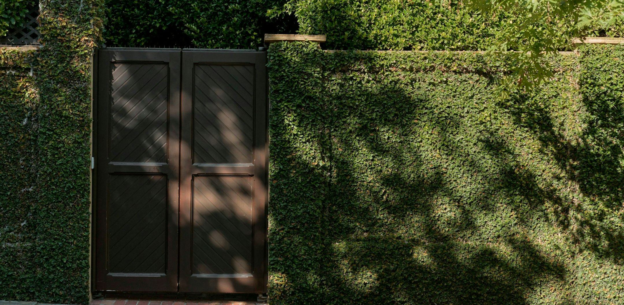 gate