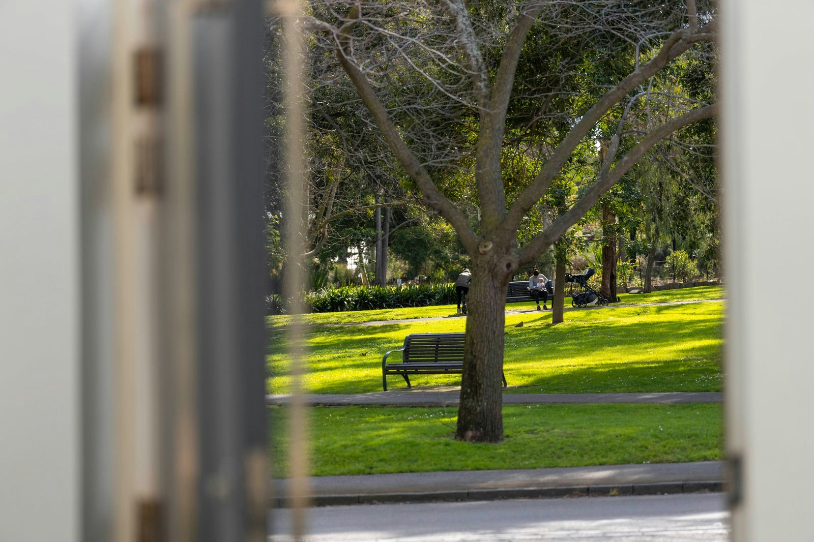 203 Domain Road, South Yarra, 3141