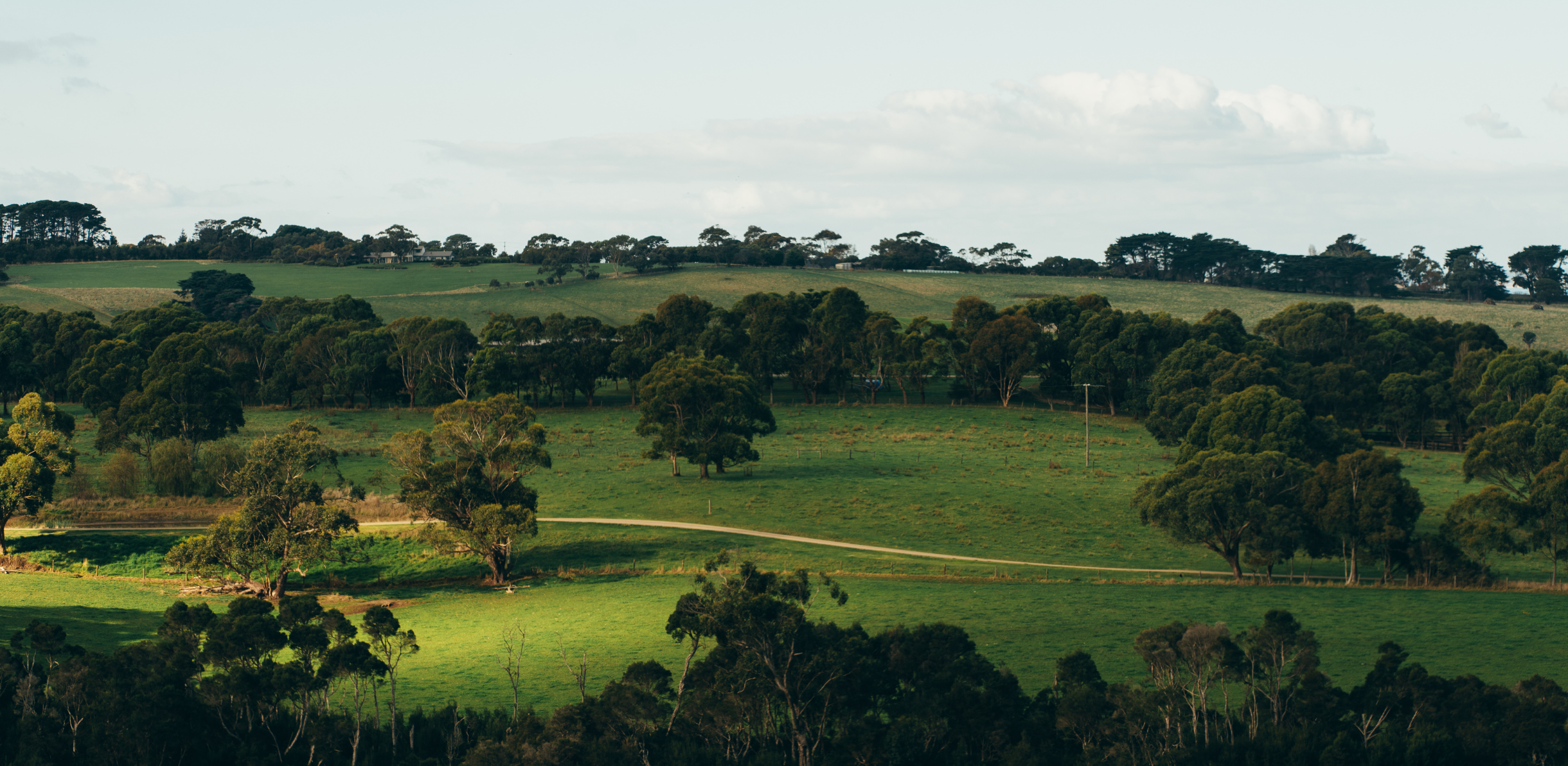 Image of field