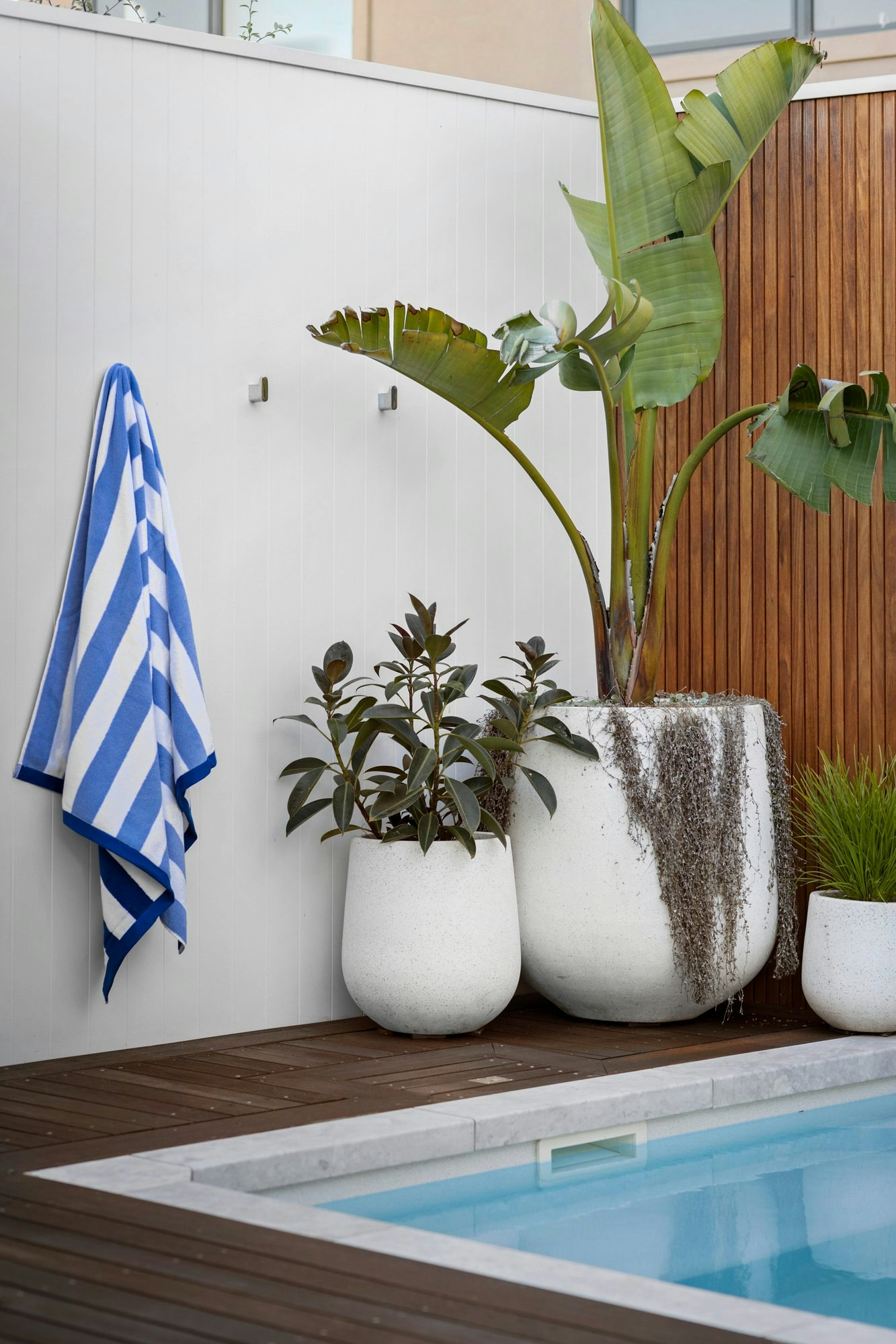 6 Venice Street, Mornington, 3931