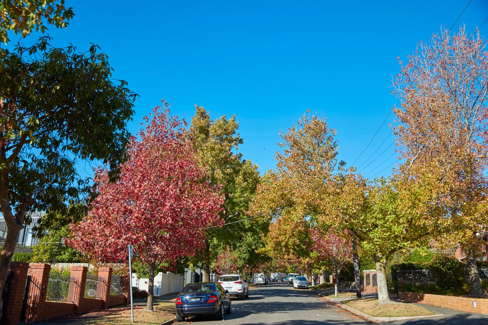 21 Dight Avenue Avenue, Balwyn North, 3104