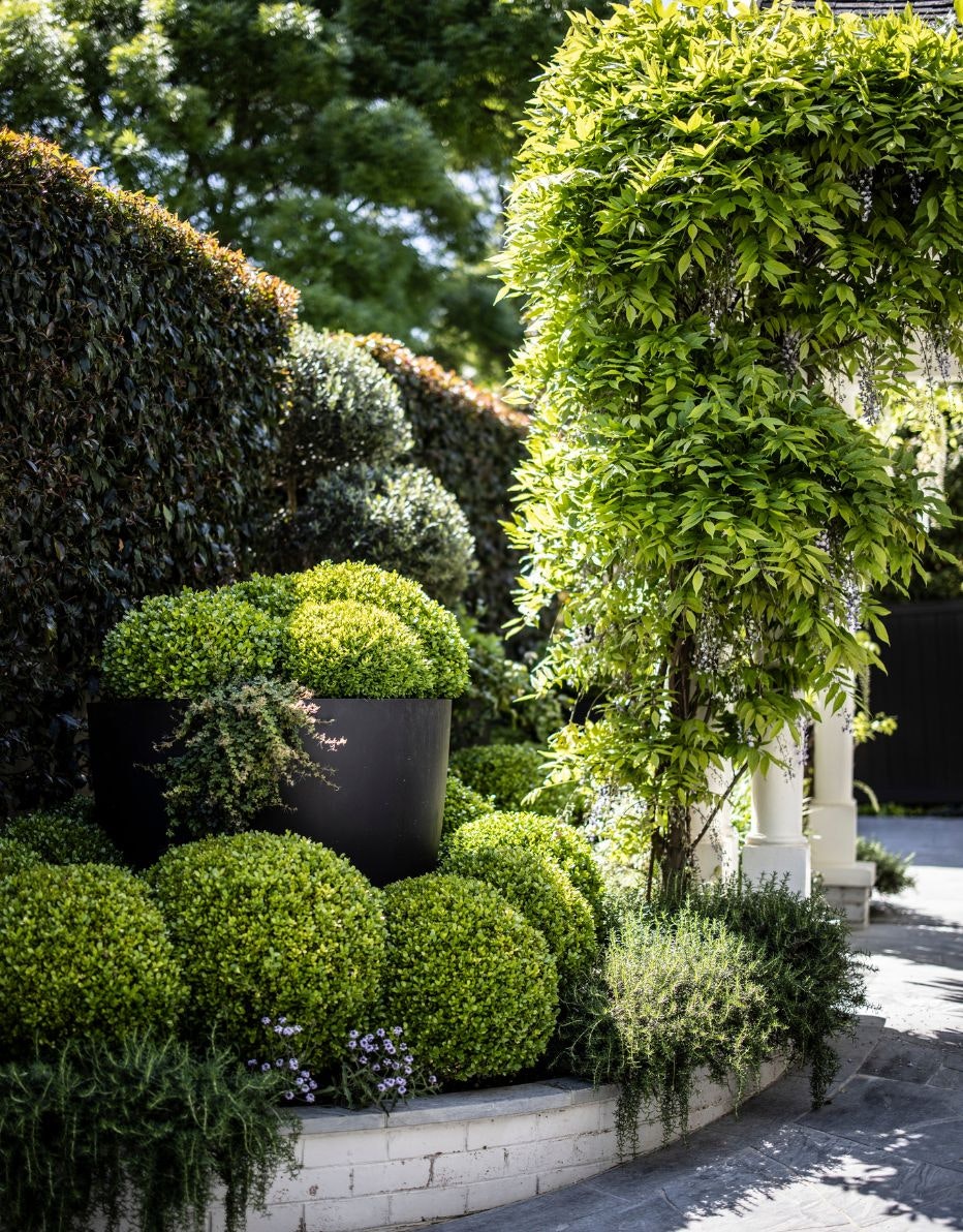 Image of garden