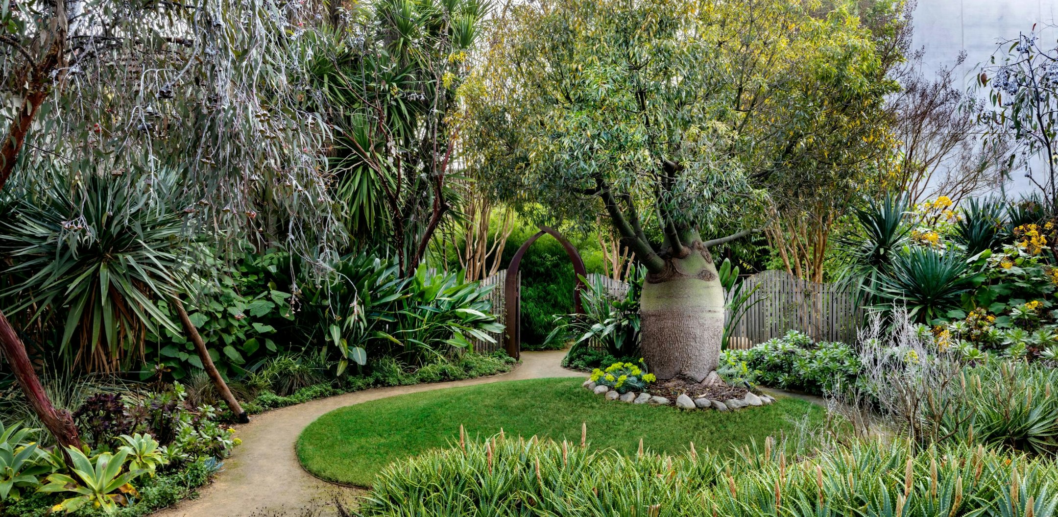 garden