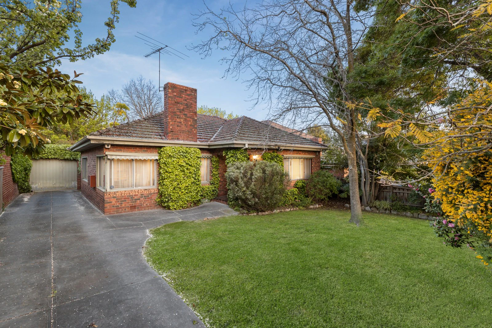 11 Morell Street, Glen Iris, 3146