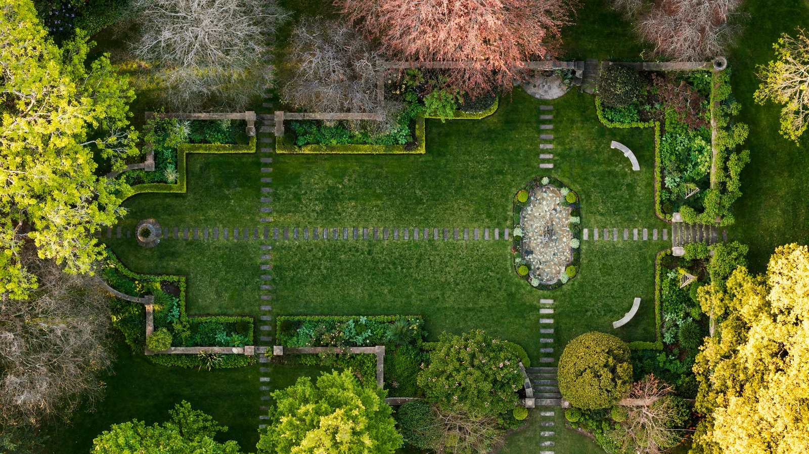 grass