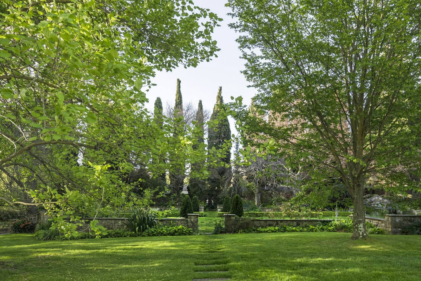 Image of grass