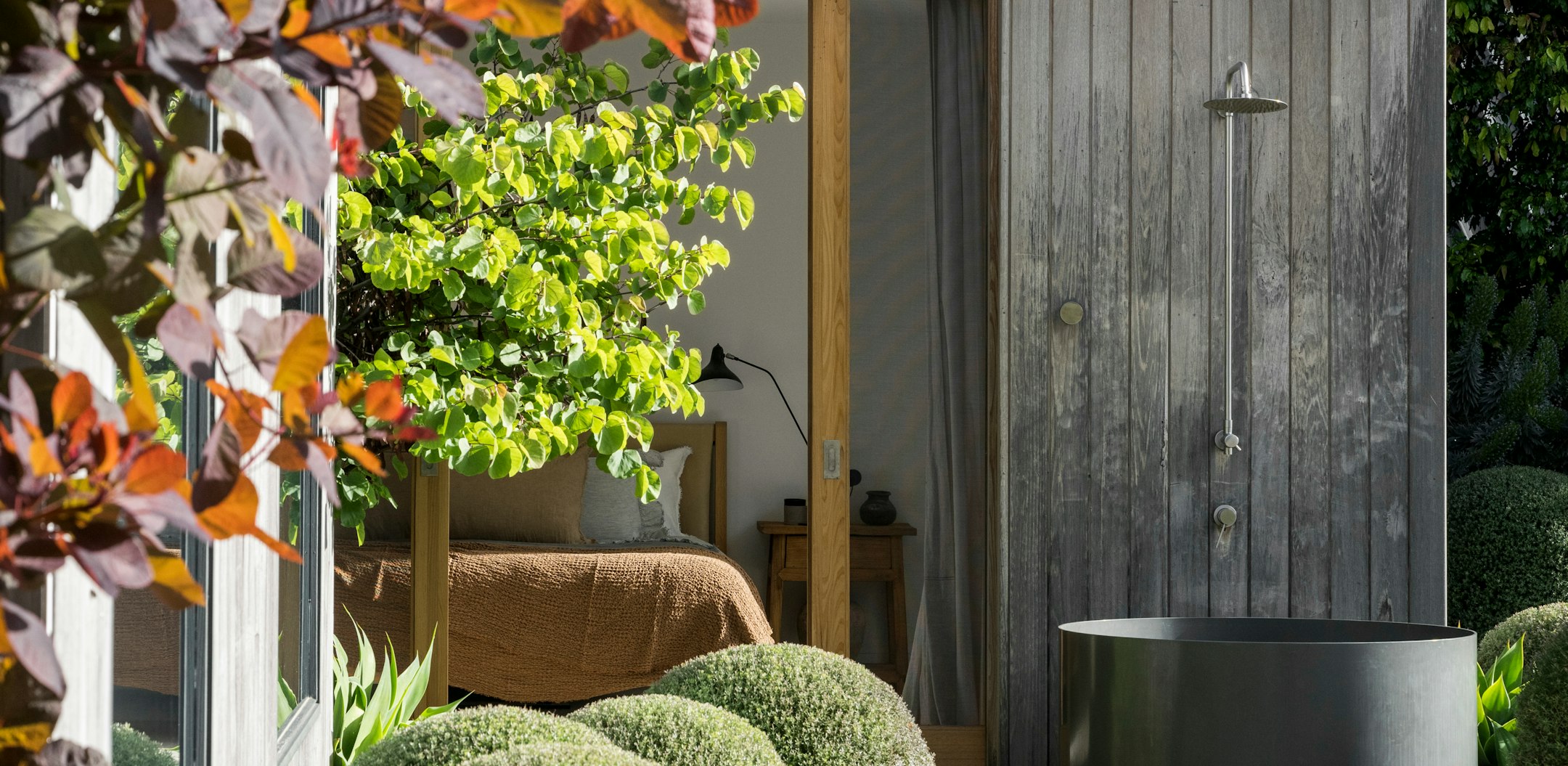potted plant
