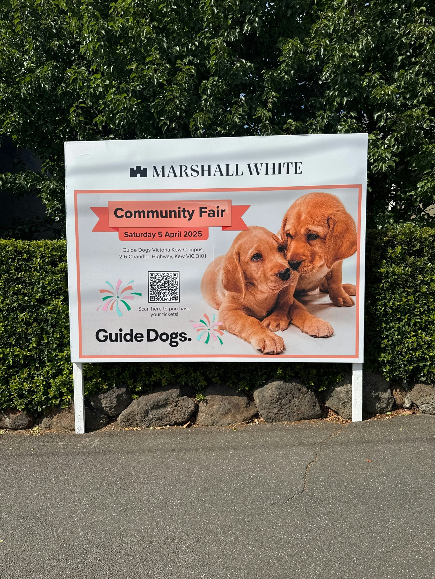 advertisement
