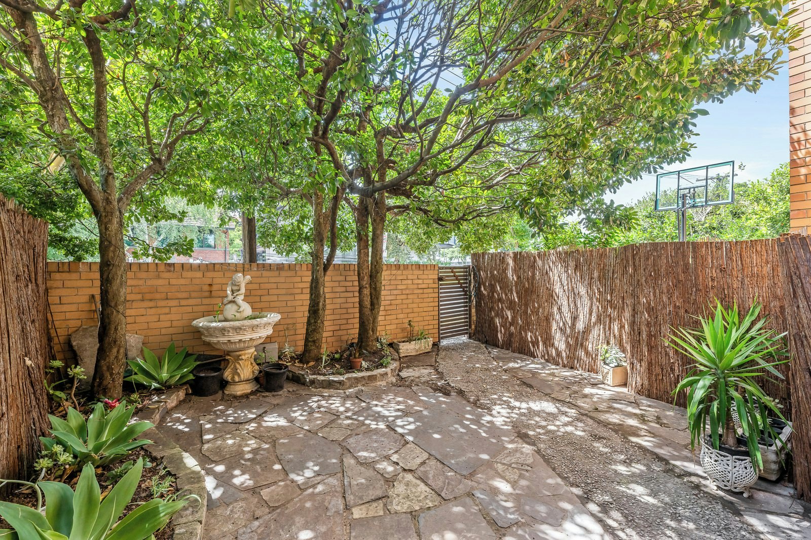 backyard