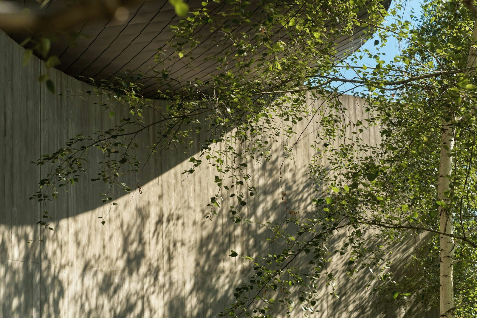 architecture