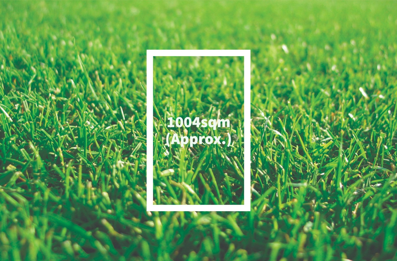 grass