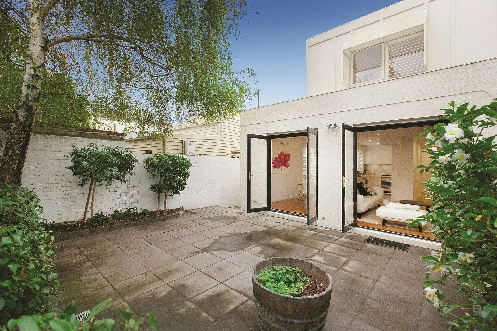 backyard