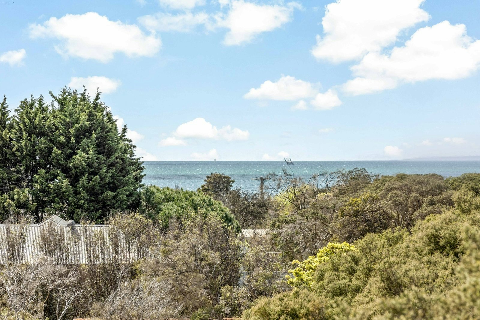 vegetation