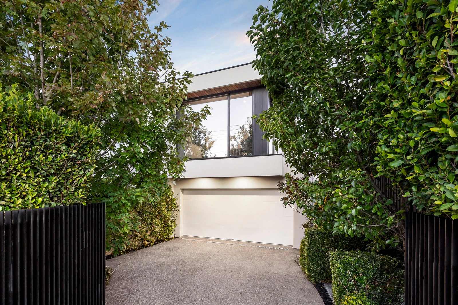 hedge