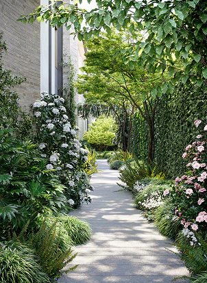 garden