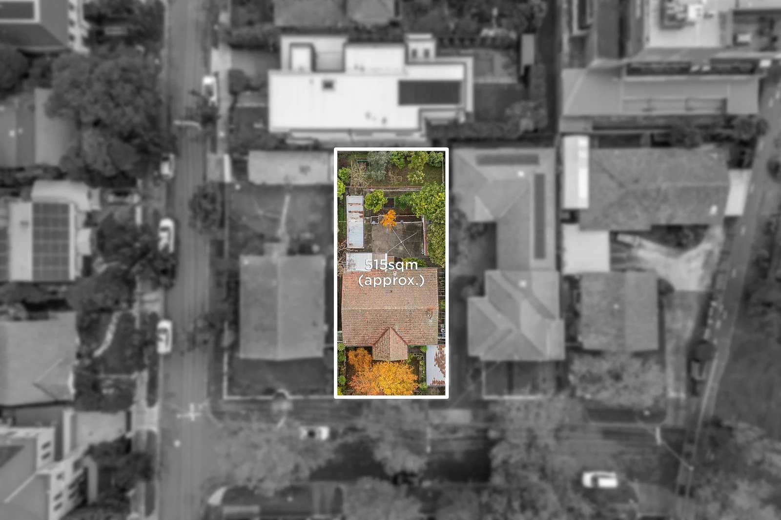 neighborhood
