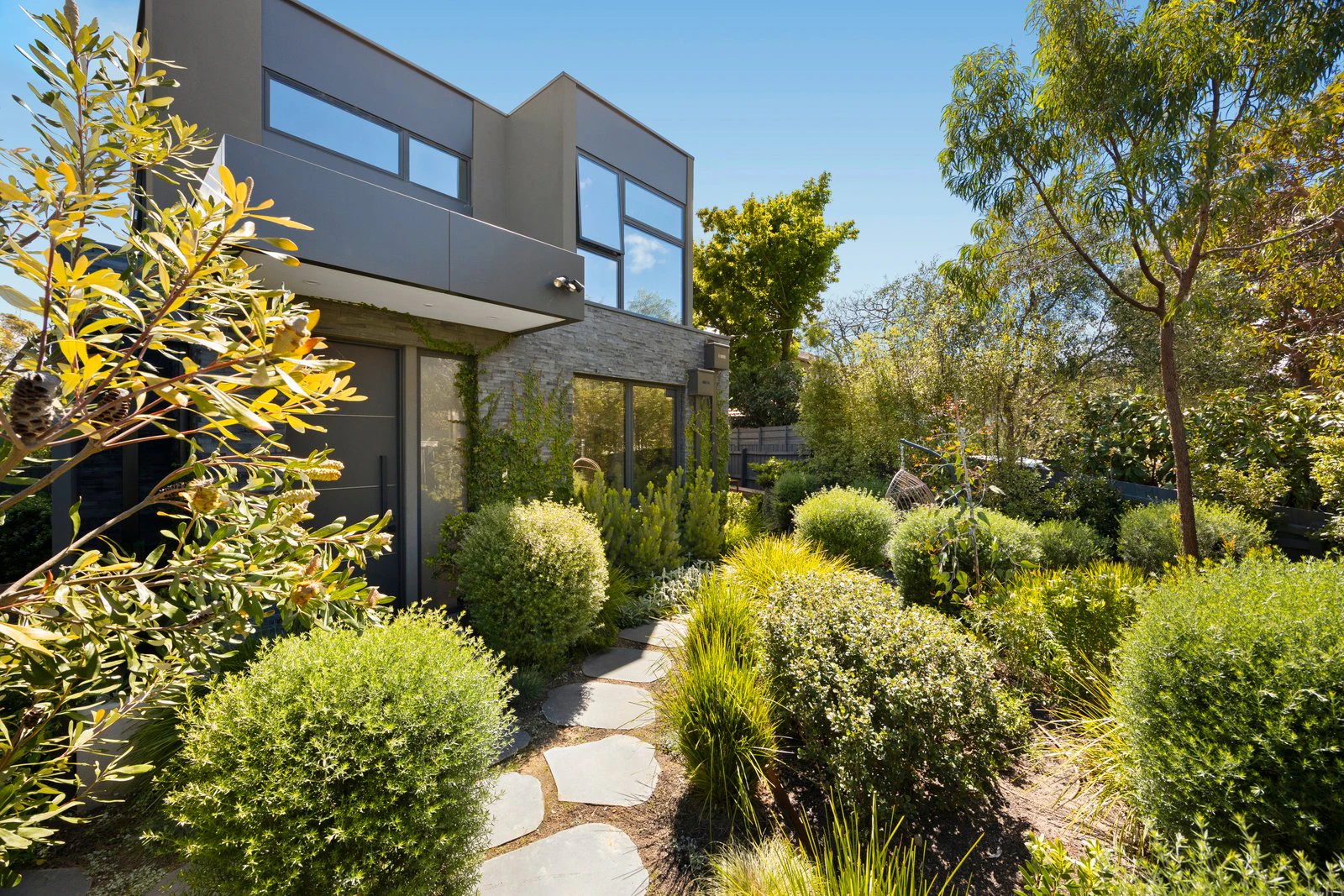 vegetation