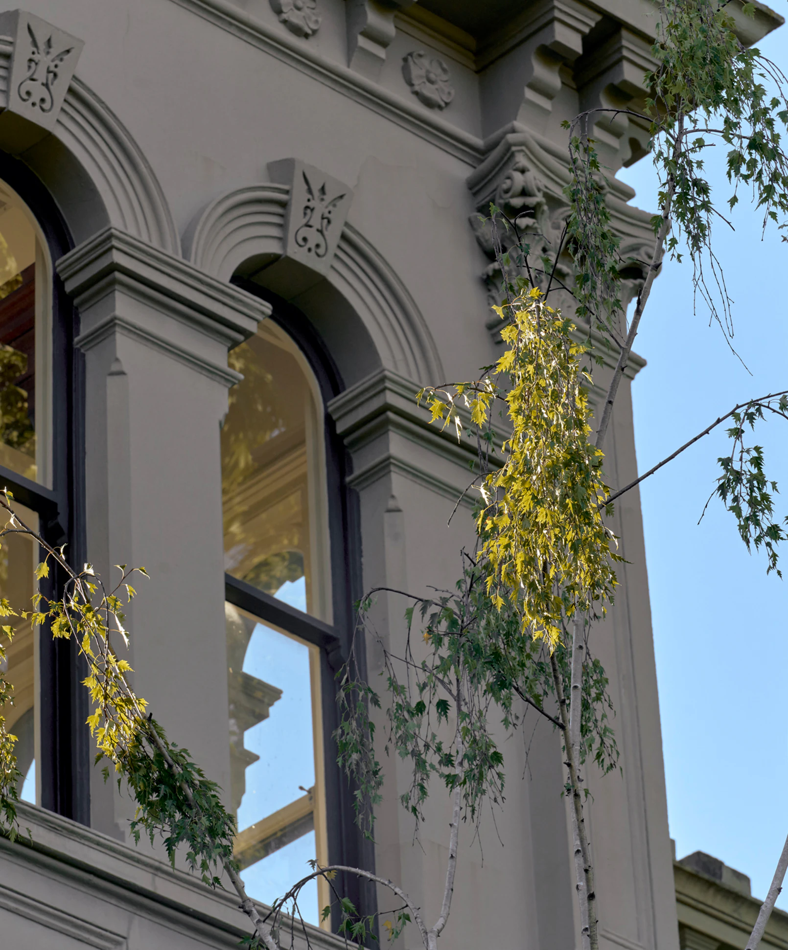 window