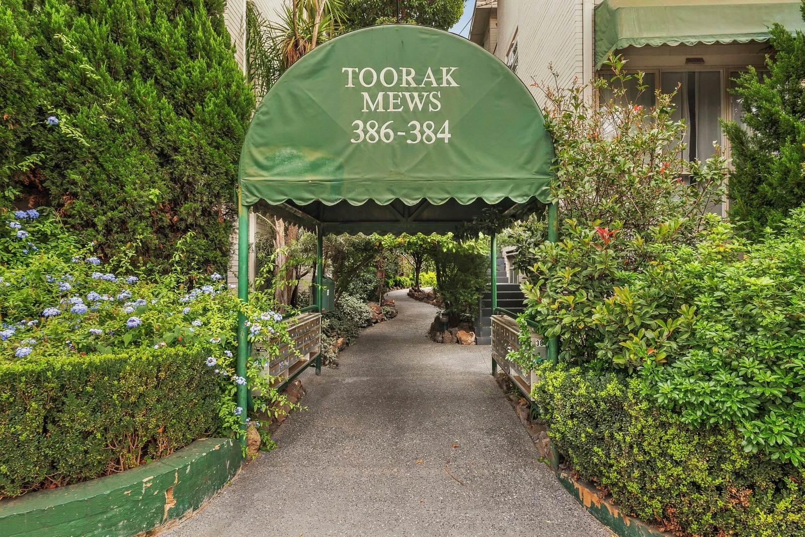 garden