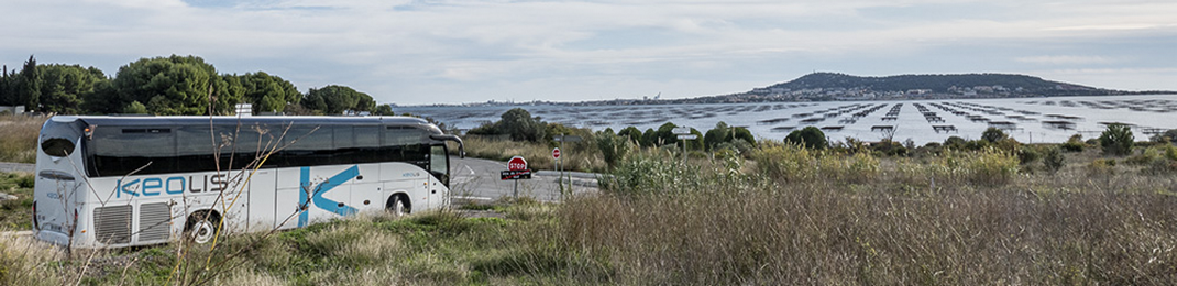 Location d’autocars avec chauffeur pour colonies de vacances (crédit Keolis Courriers du Midi)