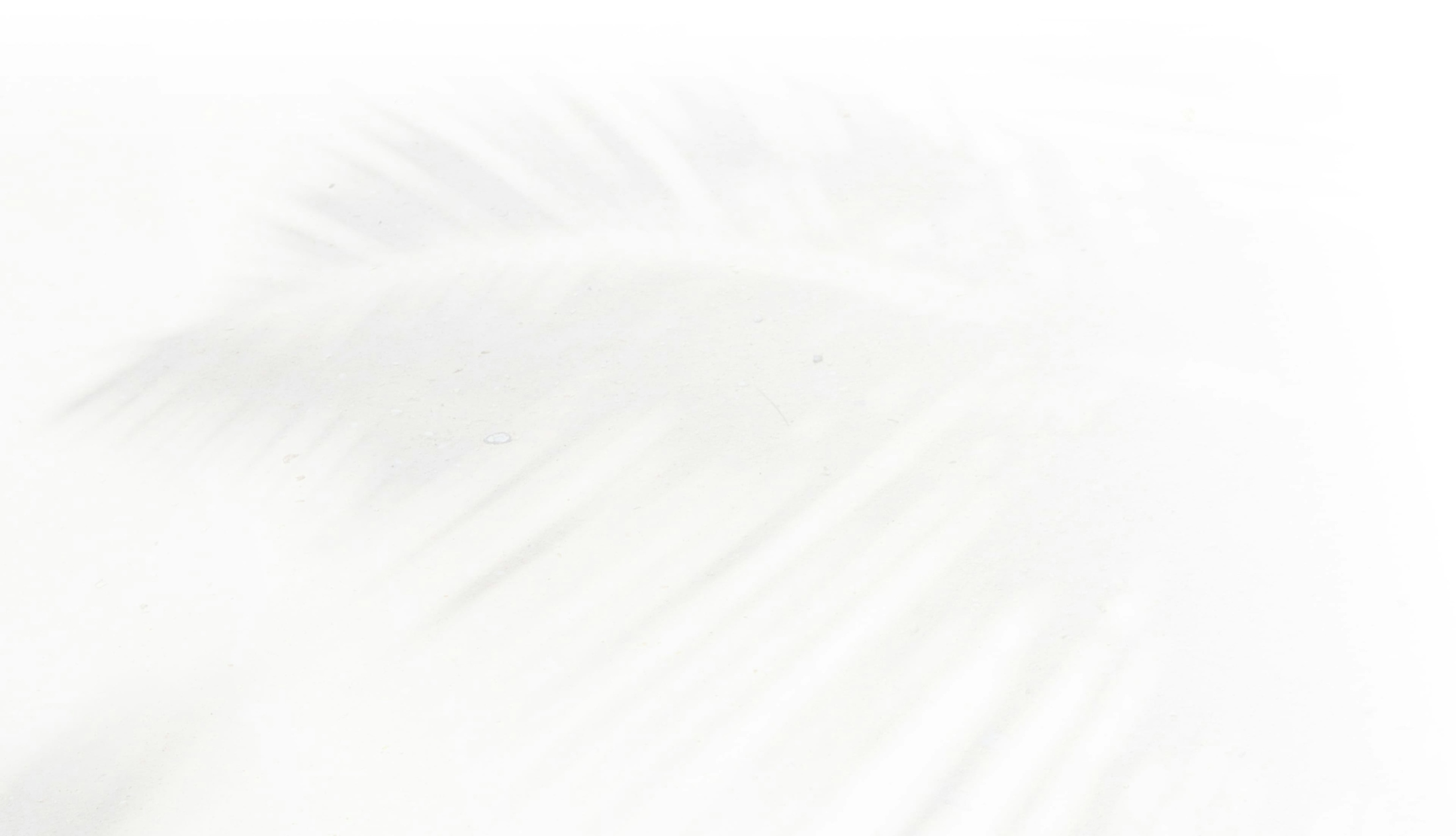 Faint black and white palm tree
