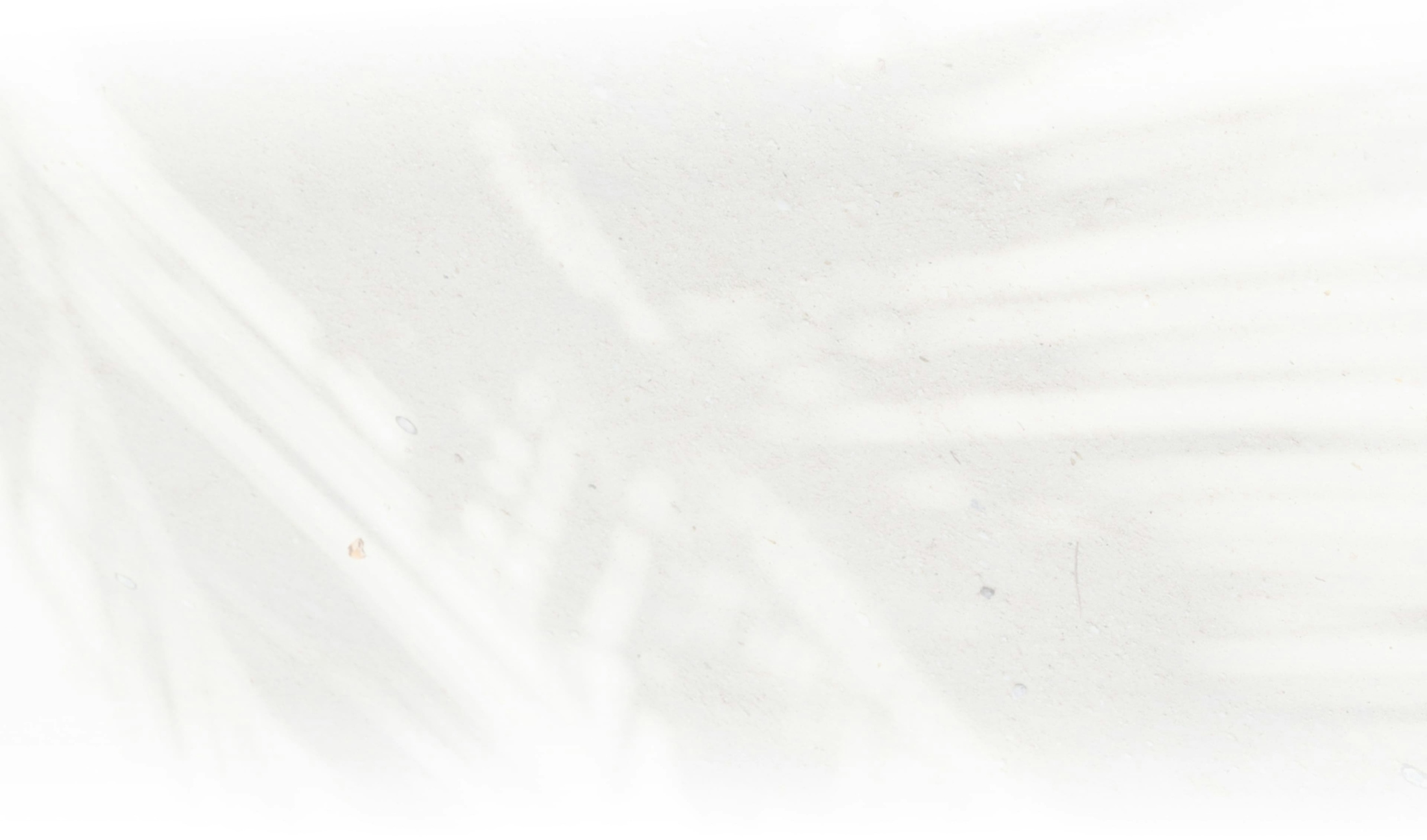 Faint black and white palm tree