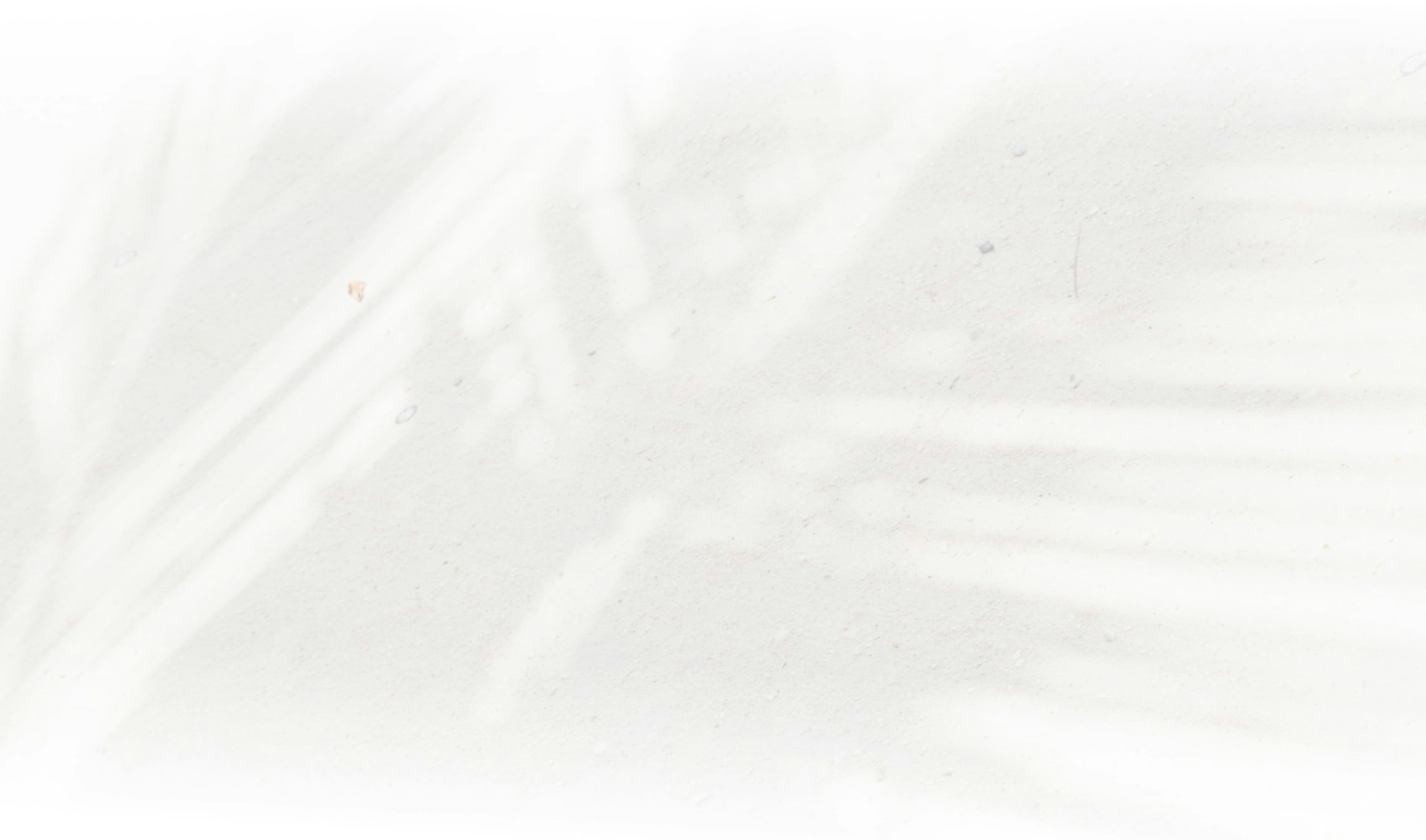 Faint black and white palm tree