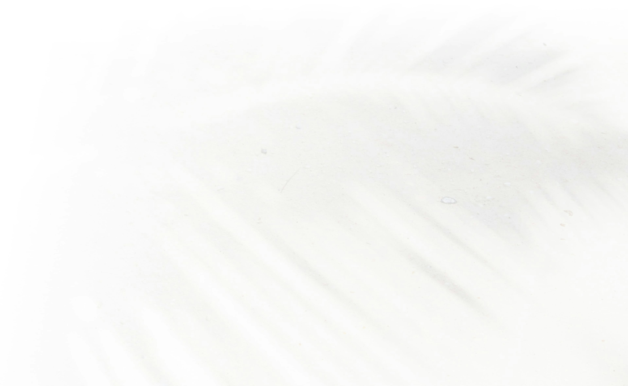 Faint black and white palm tree