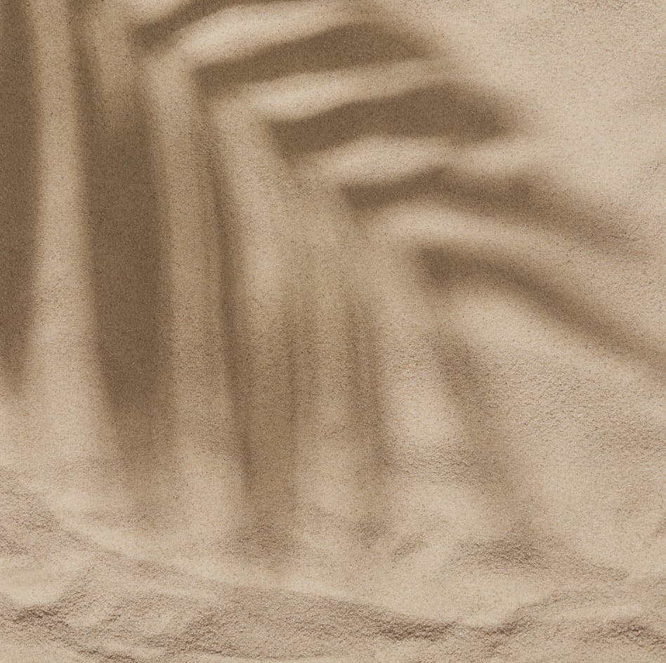 Palm tree shadow on beach sand