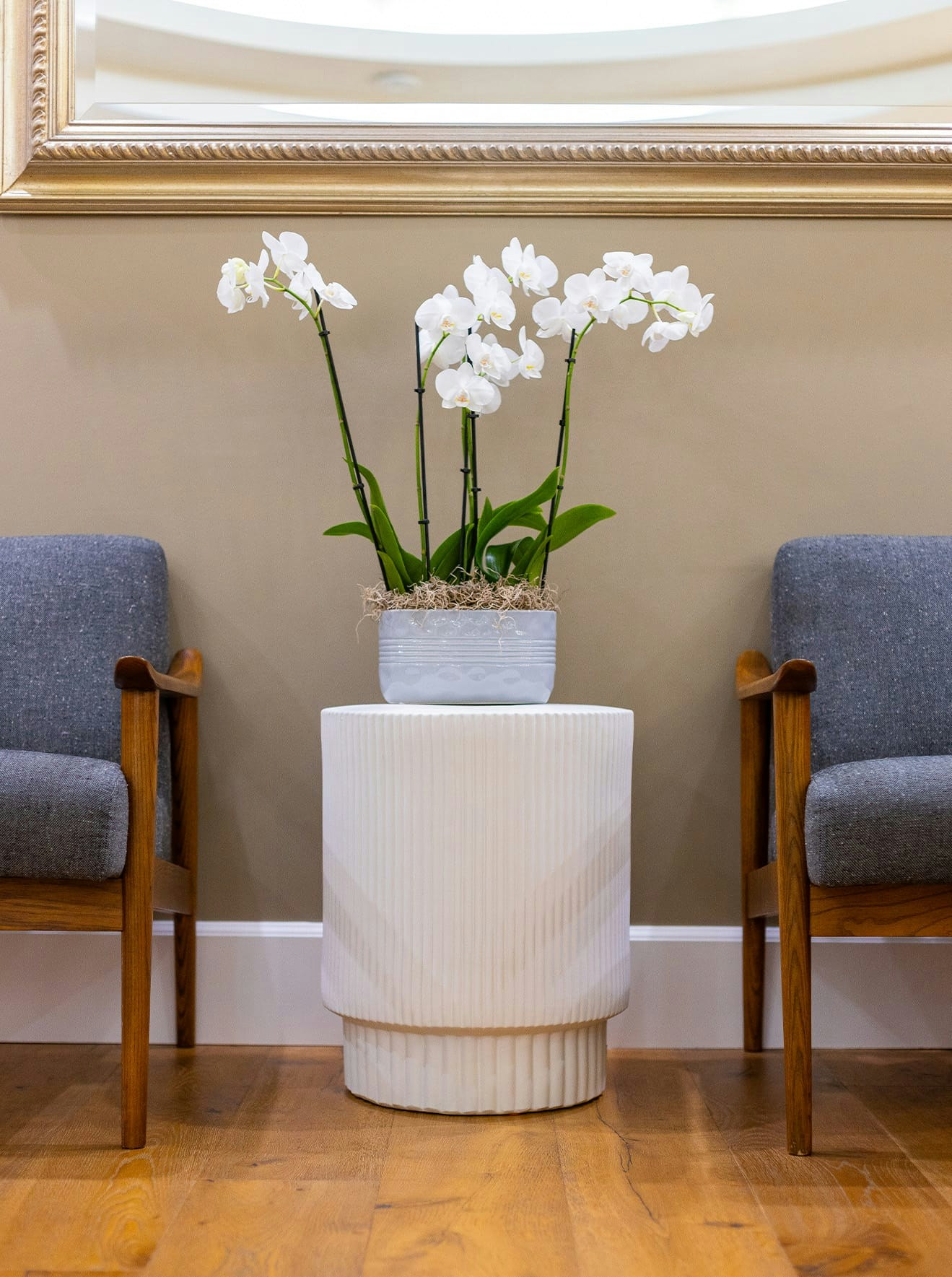 Waiting area with flower pot