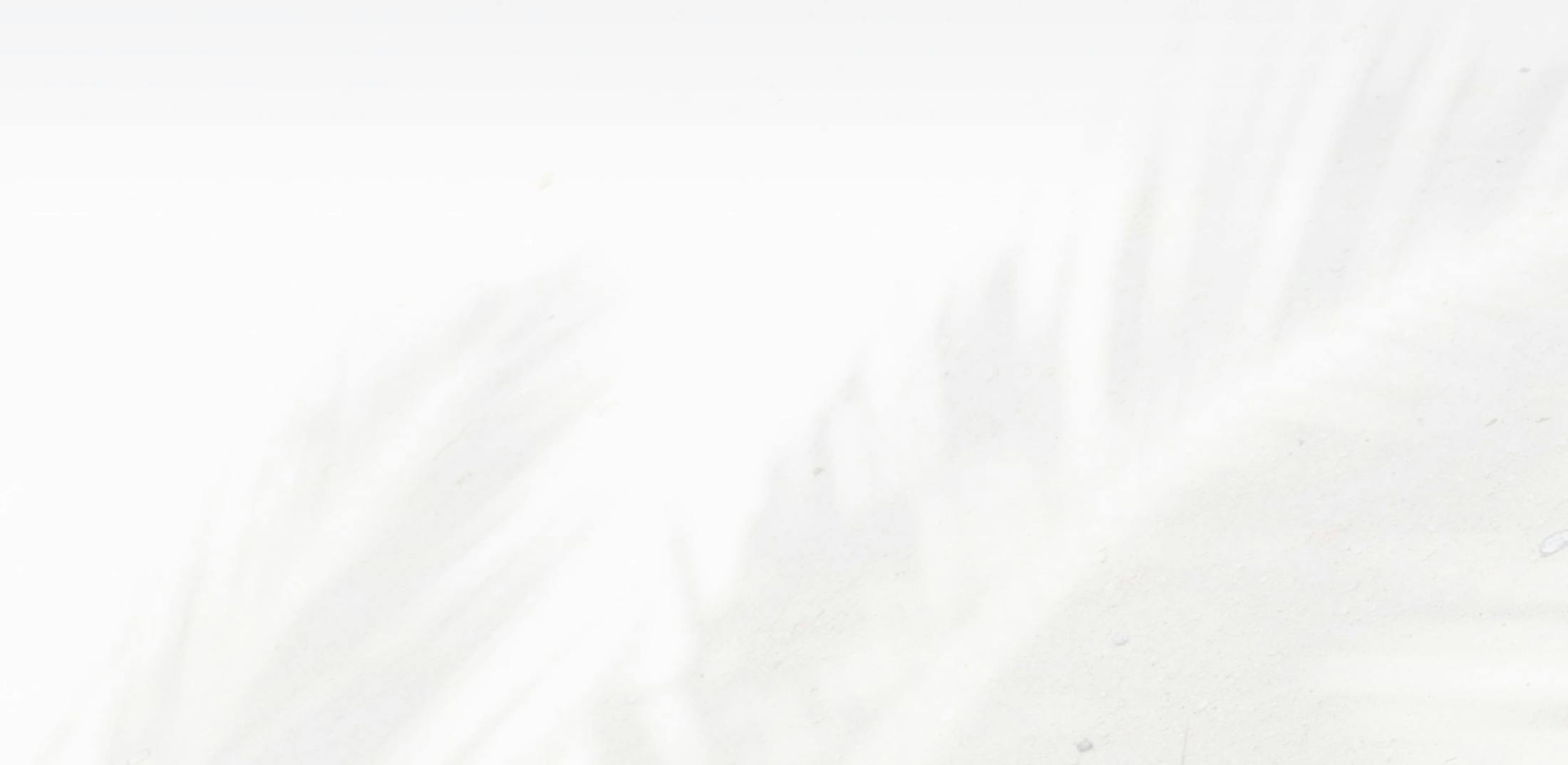 A faint black and white palm tree