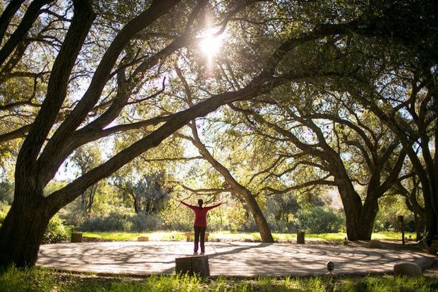 Person standing in park at Rancho La Puerta