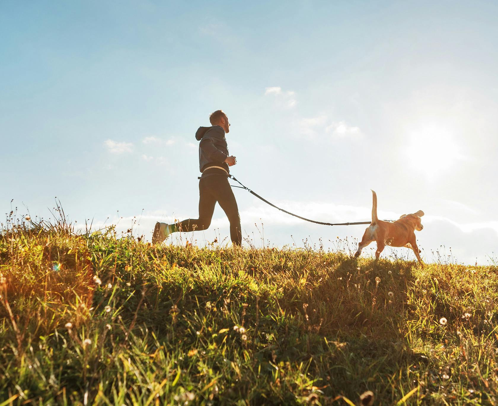 a man walking a dog on a leash on a hill