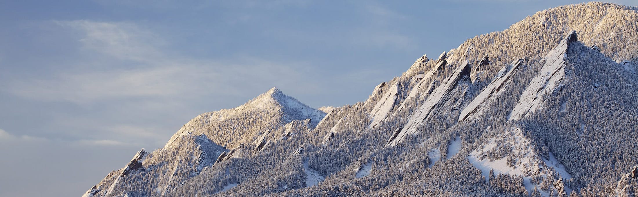 there is a snow covered mountain with a few trees on it