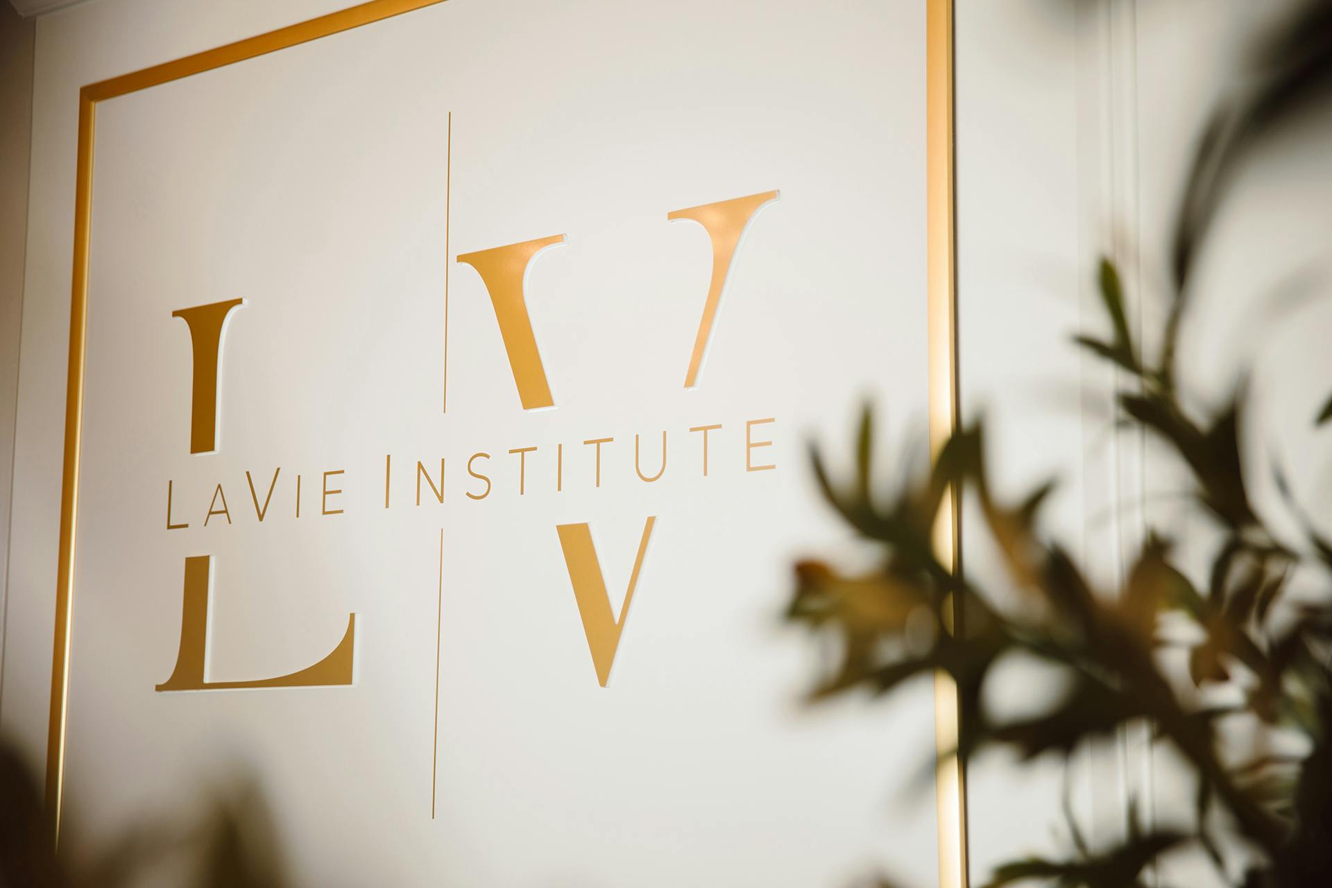 lavie plastic surgery sign