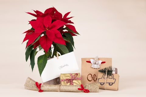 4 maneras de envolver tu tarjeta regalo