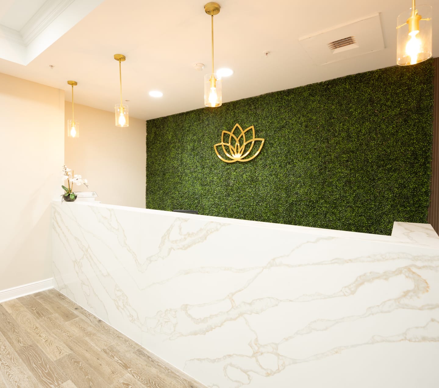 Naples Florida Healthcare Meliora Healthcare