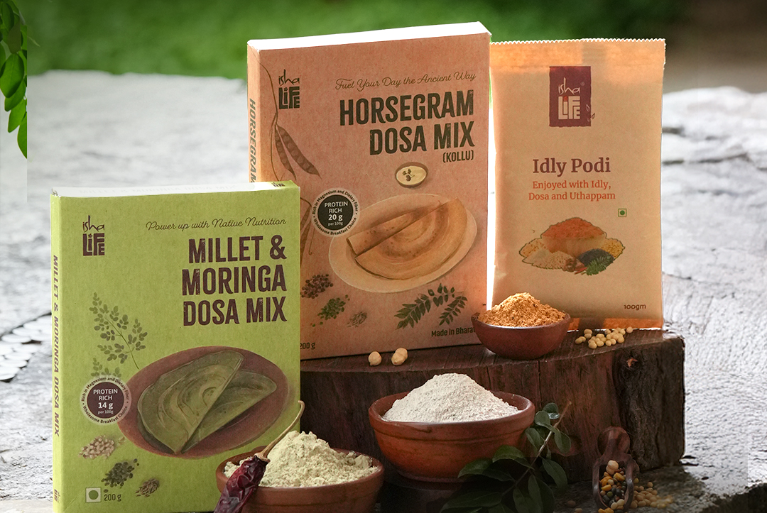 Native Nourishment Bundle – Traditional Foods for Modern Wellness