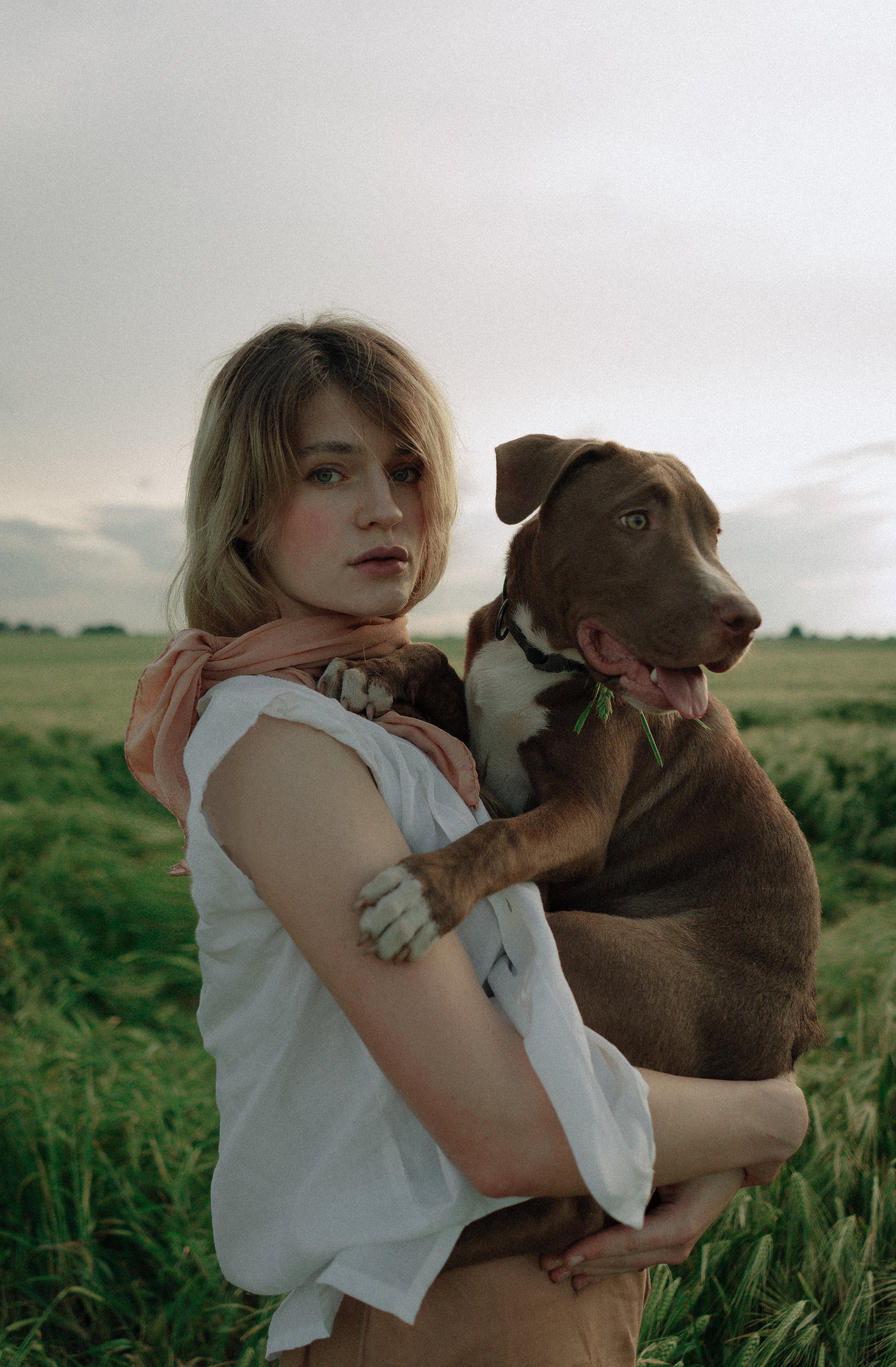Women Beastiality with Dogs 