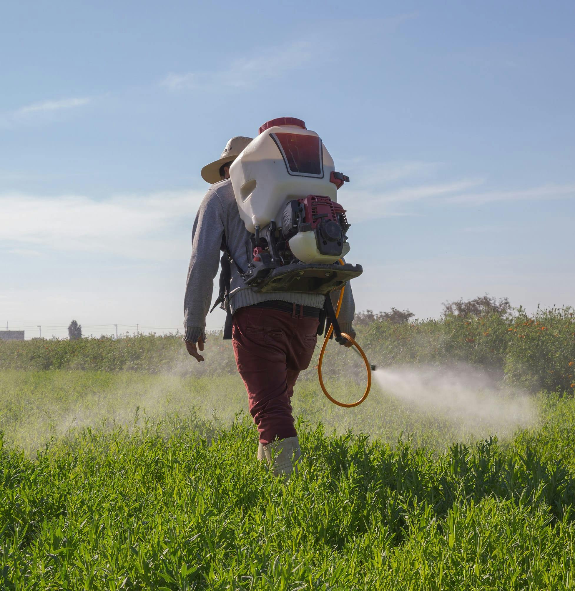 Person spraying a field with chemicals