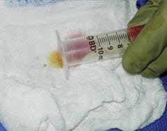 supernatant oil process in austin supernatant oil process in austin