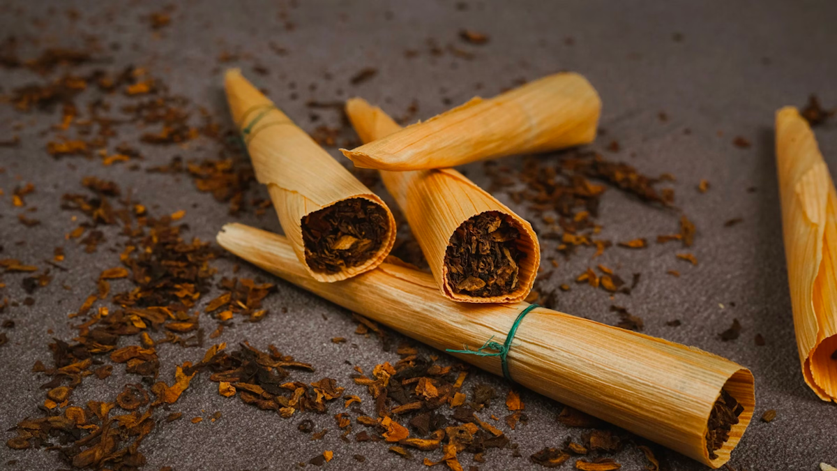 Tobacco hand-rolled cigarettes