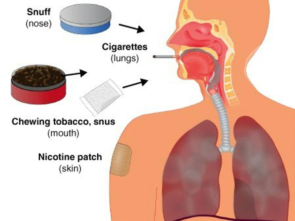 skoal tobacco side effects How Tobacco Use Affects Oral Health skoal tobacco side effects How Tobacco Use Affects Oral Health