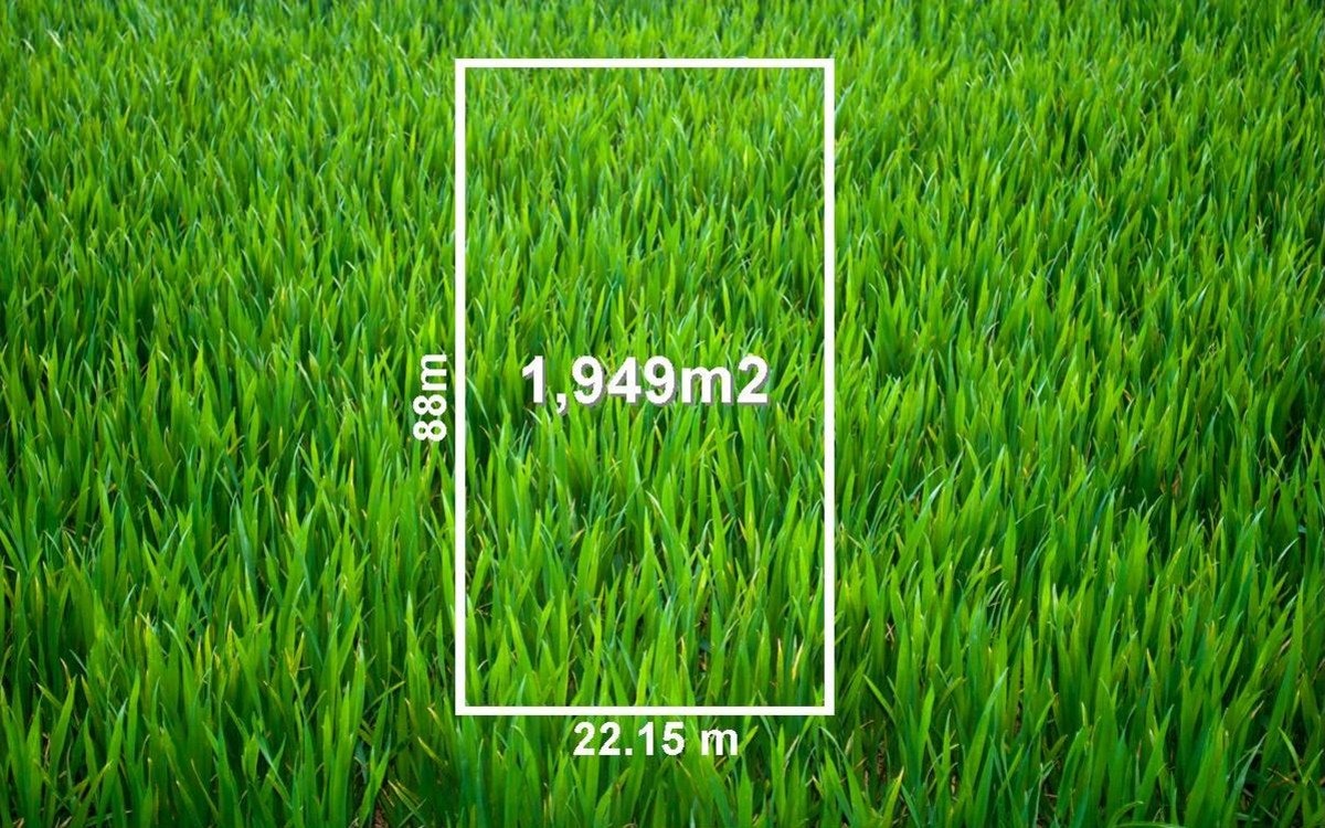 Image of grass